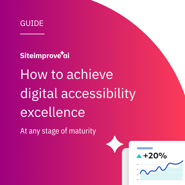 How to achieve digital accessibility excellence.